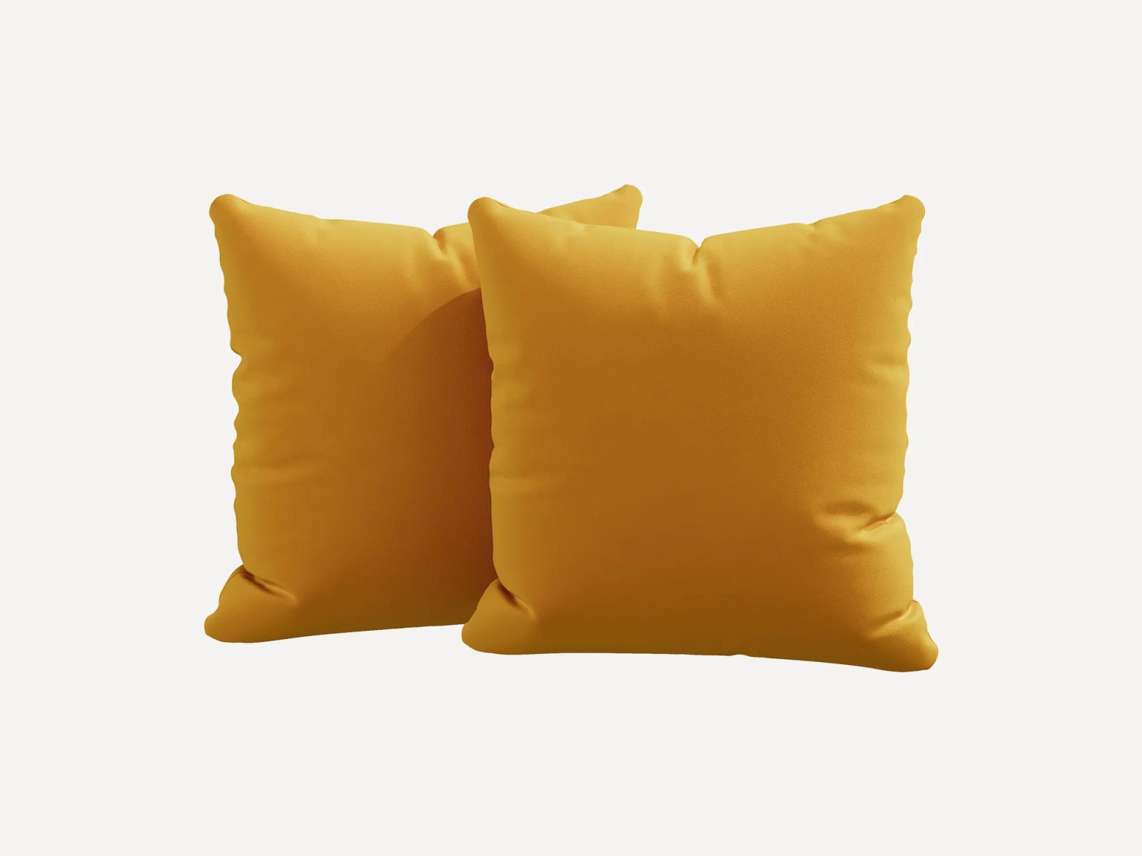 #Color_Velvet Mustard