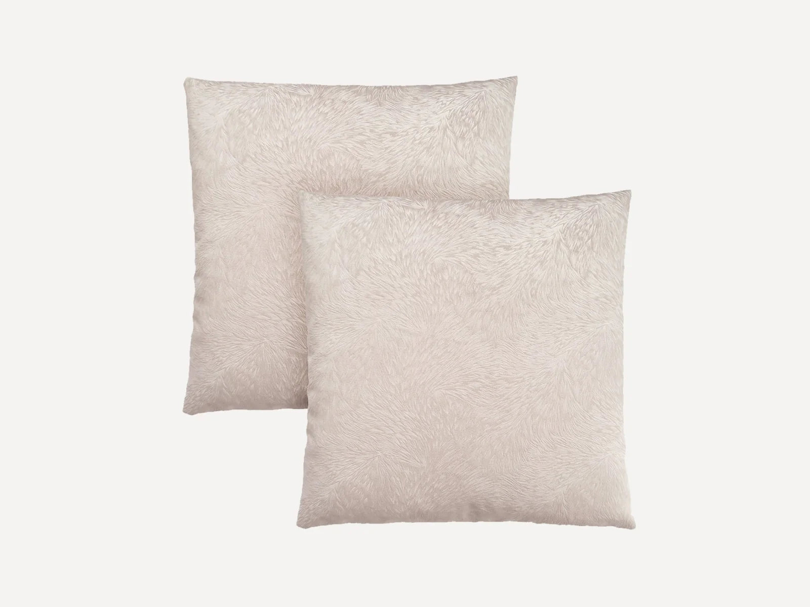 🎁 HONBAY 2 Plush Throw Pillows (100% off)