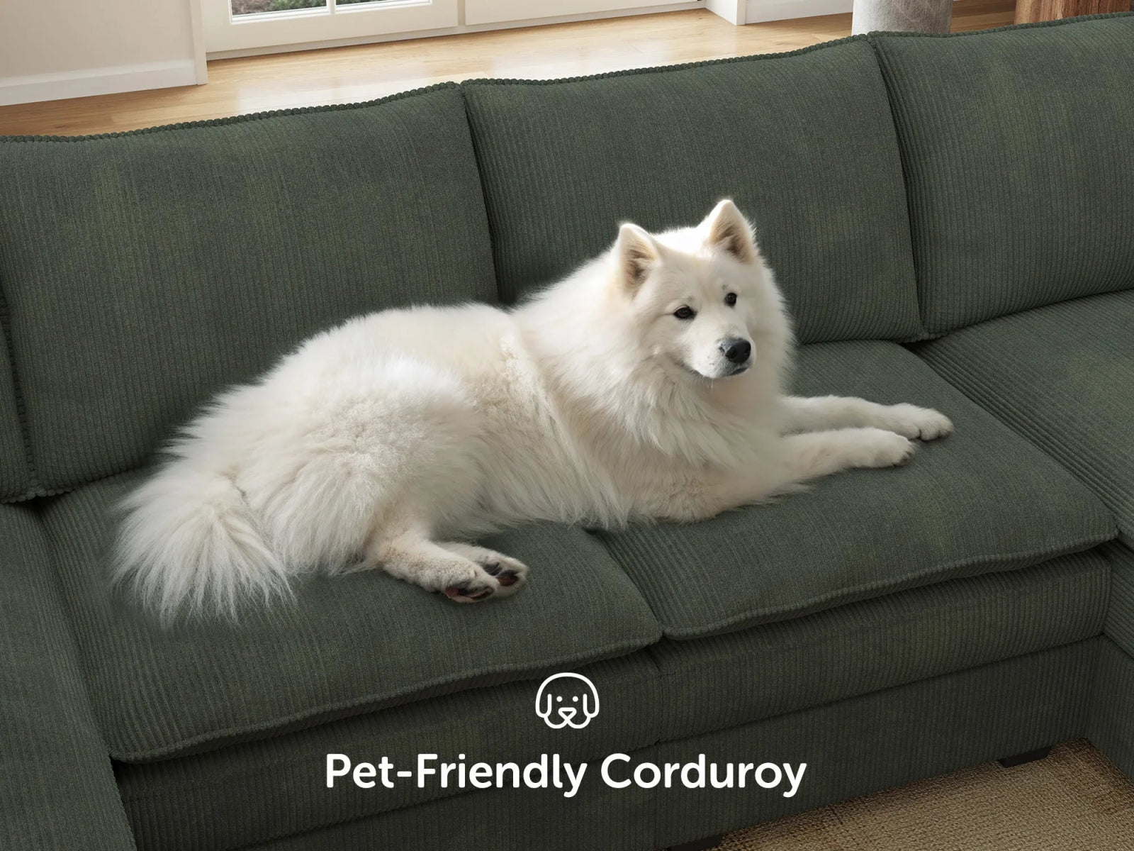 #Color_Corduroy Green