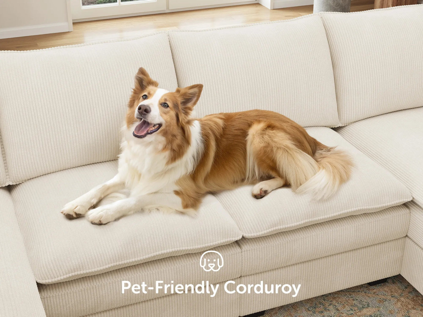 #Color_Corduroy Beige