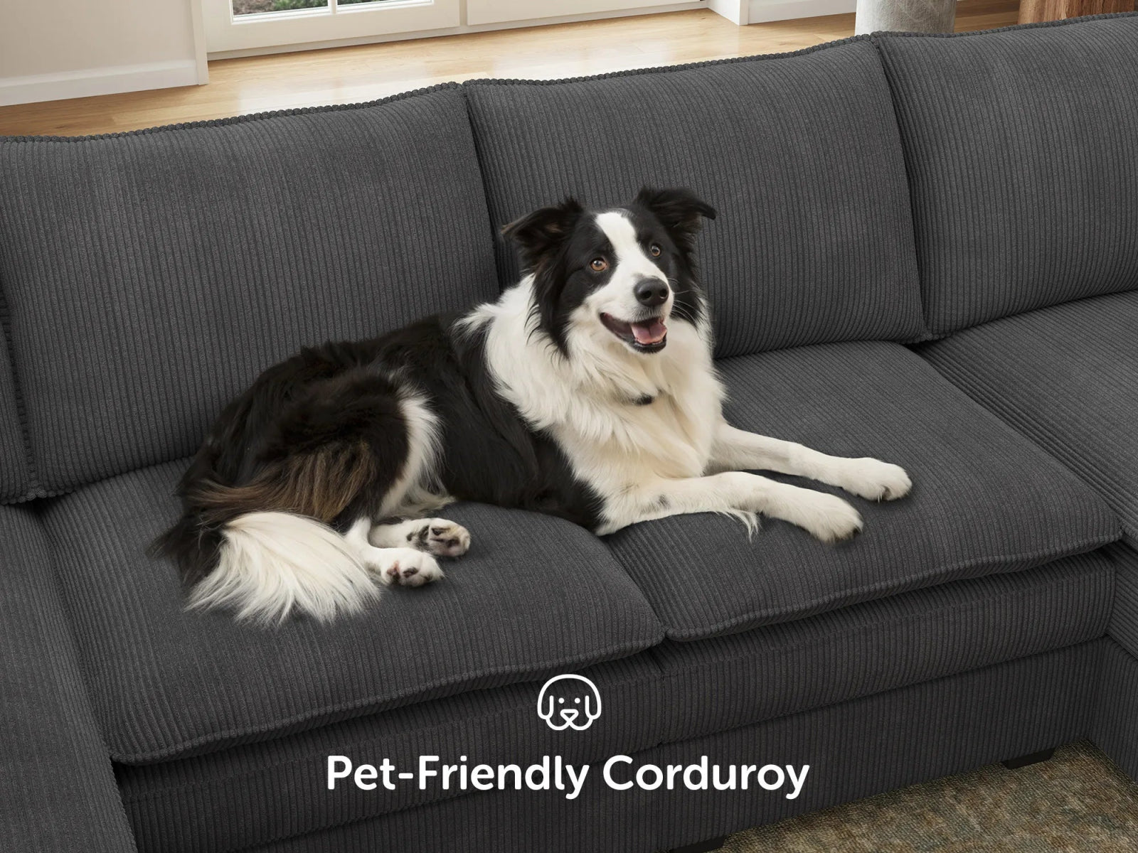 #Color_Corduroy Grey