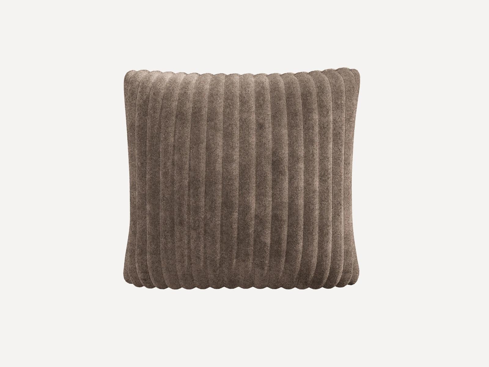 #Color_Corduroy Brown