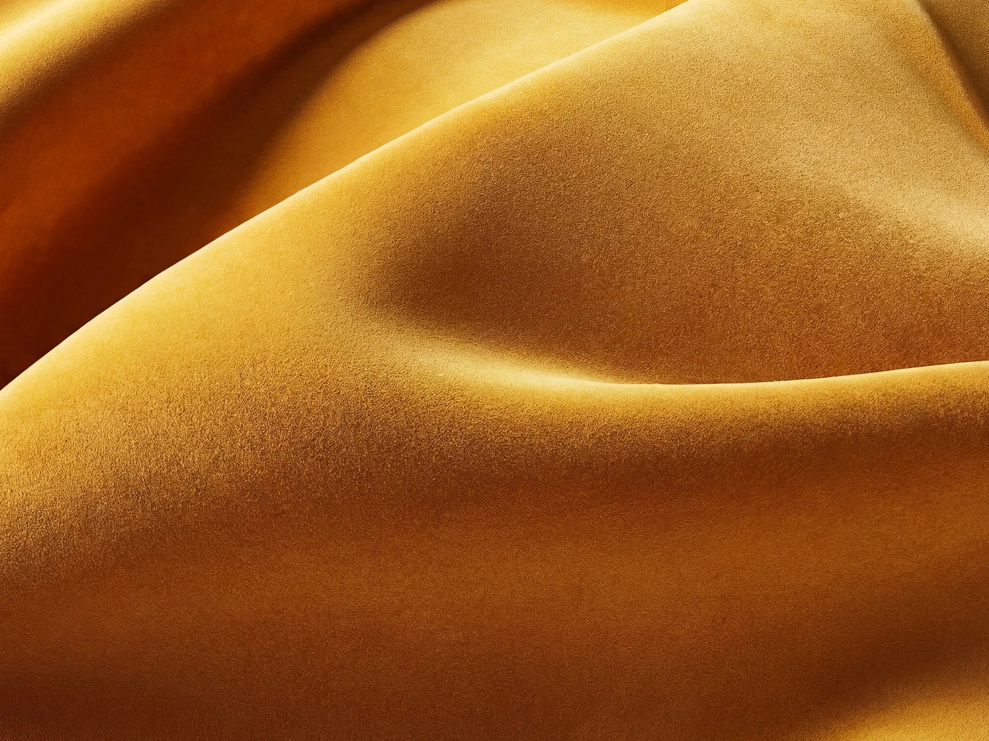#Color_Velvet Mustard