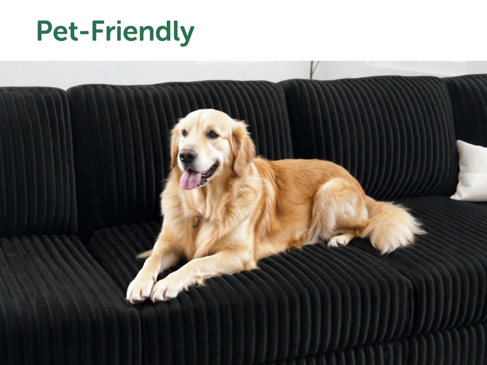 HONBAY 5-Piece Corduroy Modular L-Shaped Sectional Sofa
#Color_Corduroy Black