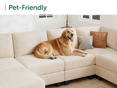 HONBAY 6-Piece Corduroy Modular Sleeper Sectional Sofa With Hidden Storage Ottoman
#Color_Corduroy Beige